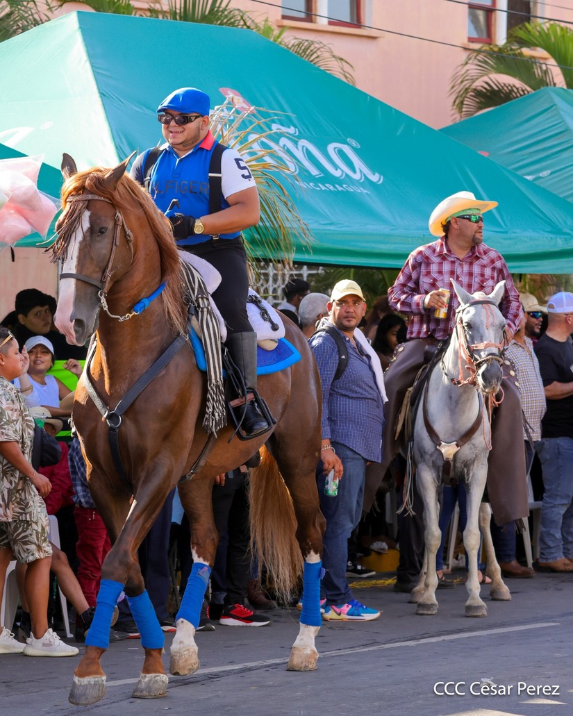 HIPICA-GRANADA-(11)