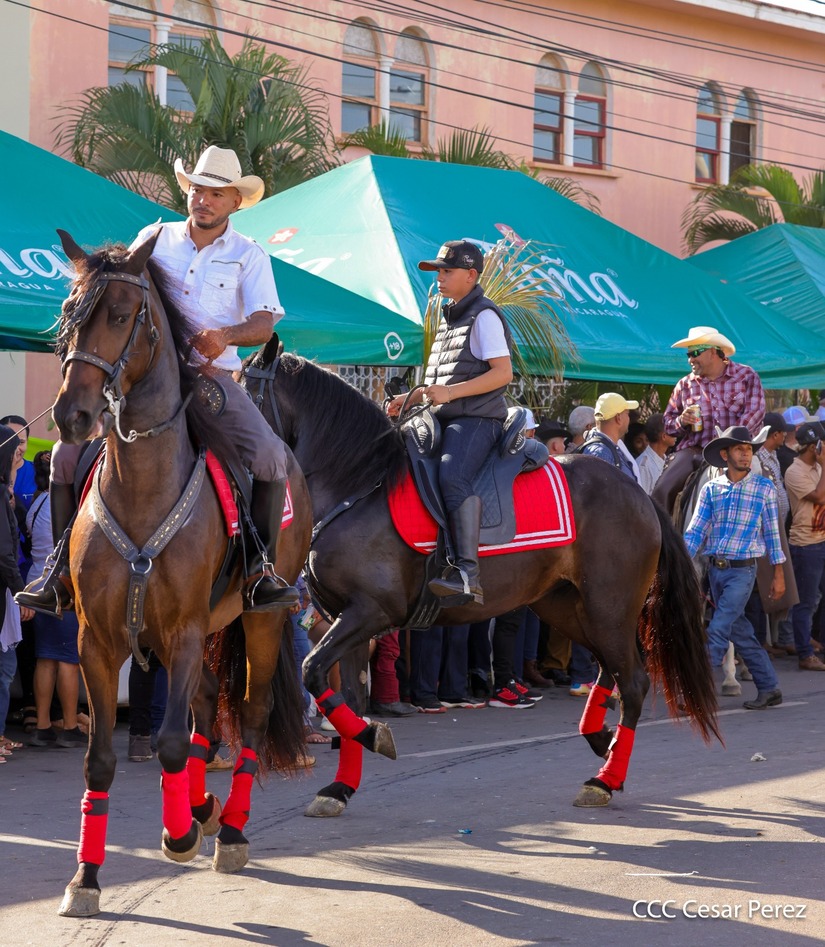 HIPICA-GRANADA-(13)