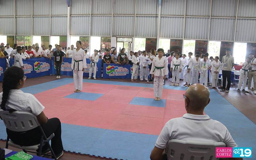 Taekwondo--1