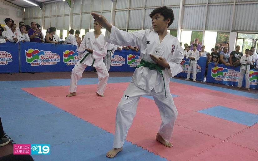 Taekwondo--4