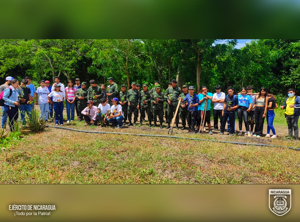 REFORESTACION1