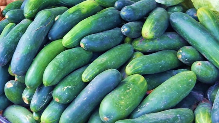 PEPINO5
