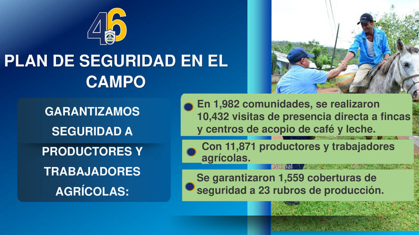 SEGURIDAD4