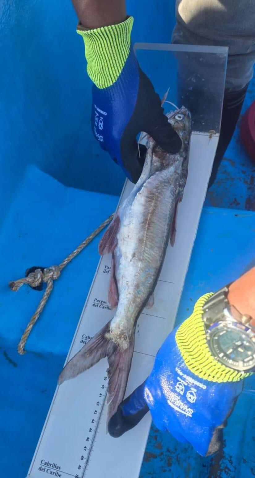 INPESCA-21
