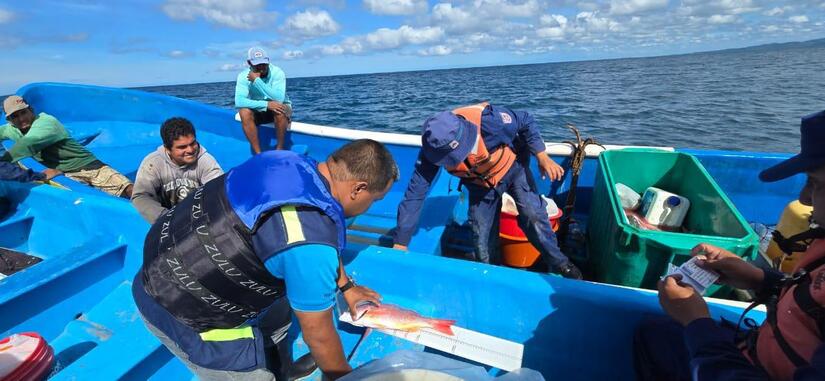 INPESCA-4