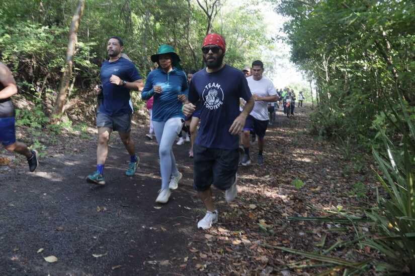 VOLCAN-11