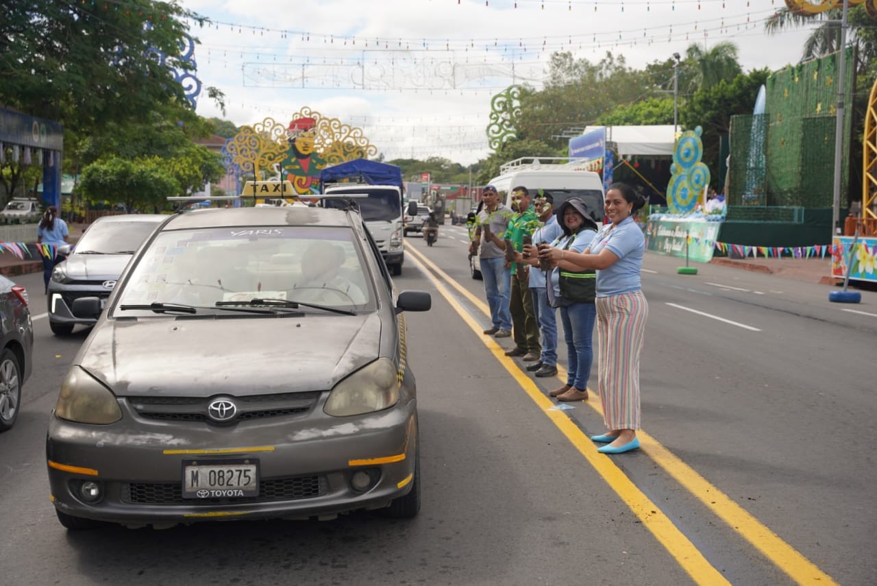 MADRONO6