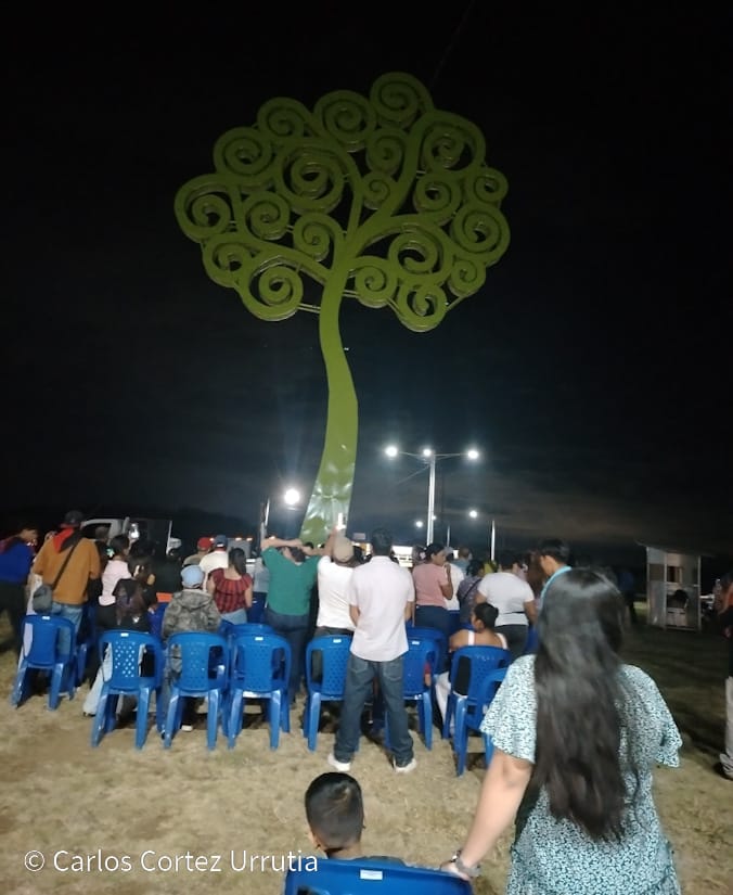 ARBOL-(12)