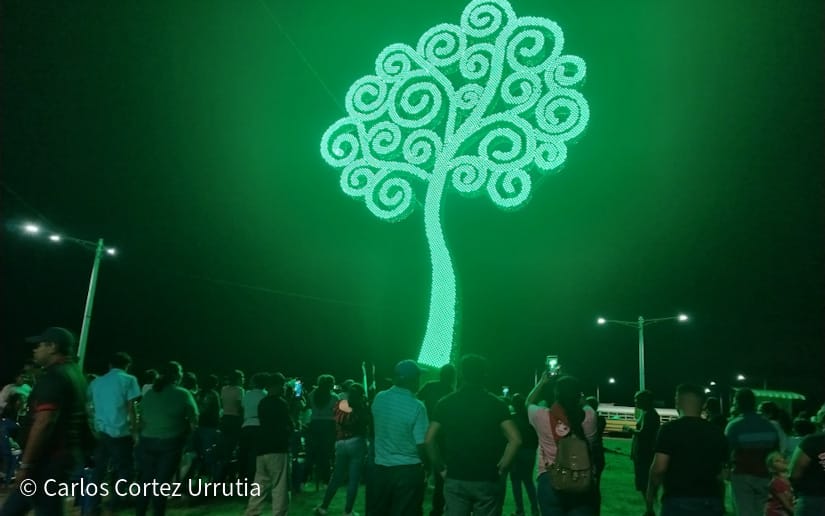 ARBOL-(13)