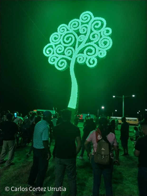 ARBOL-(14)