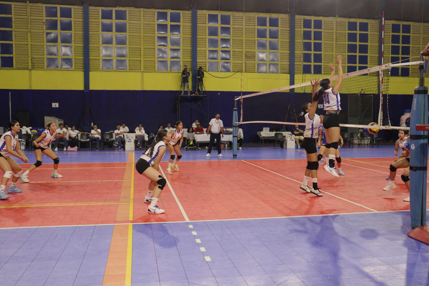 DEPORTES8