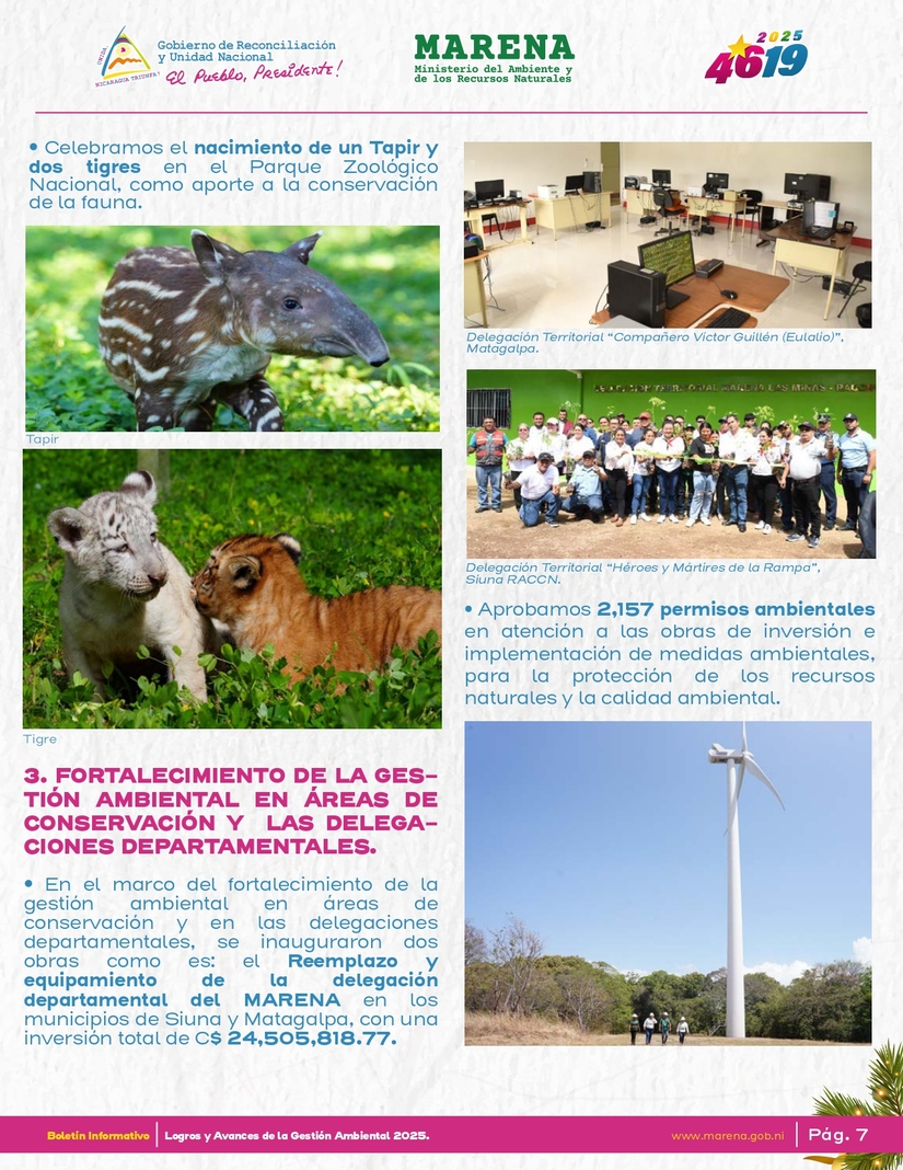 Gestion-Ambiental-8