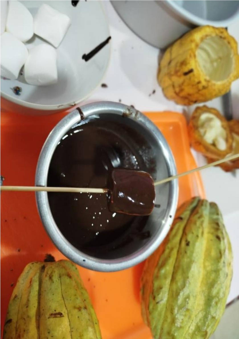 CHOCOLATE19