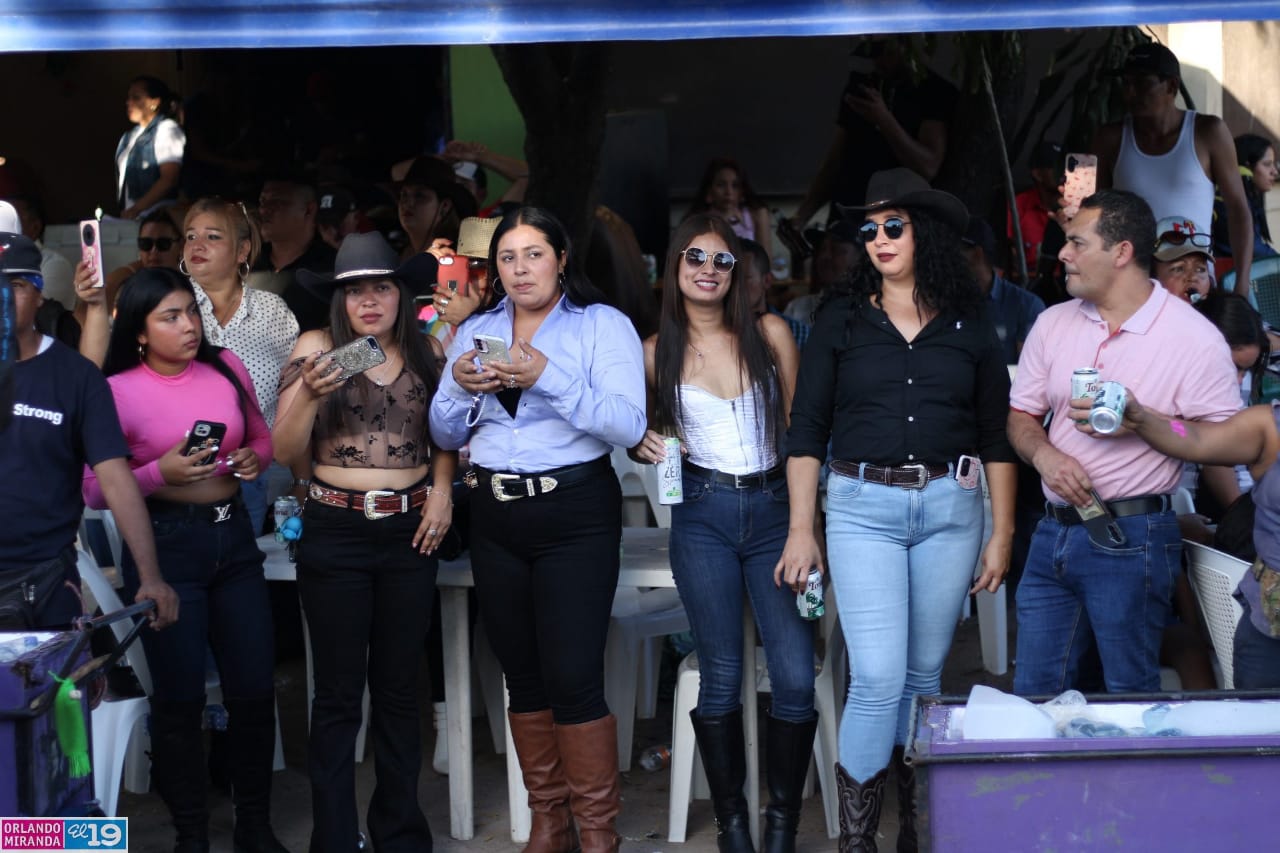 ESTELI-(3)