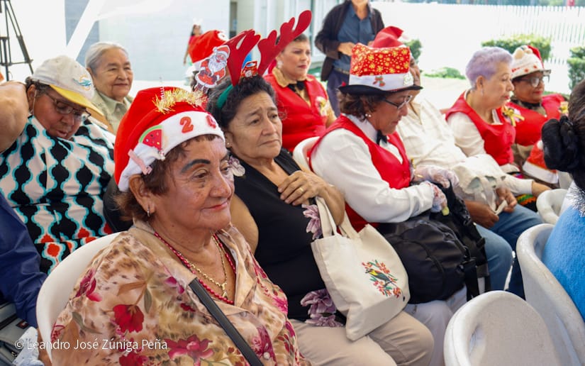 Festival-Navideno-3
