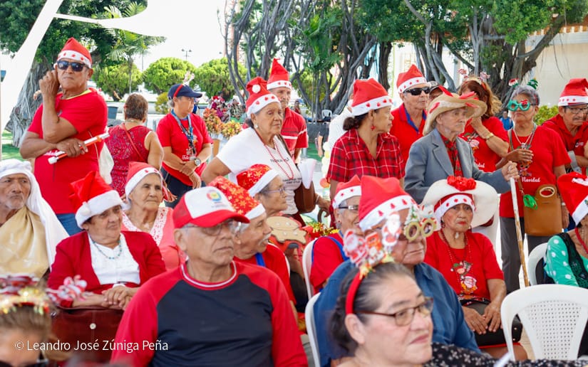 Festival-Navideno-8