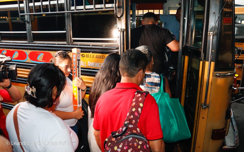BUSES11