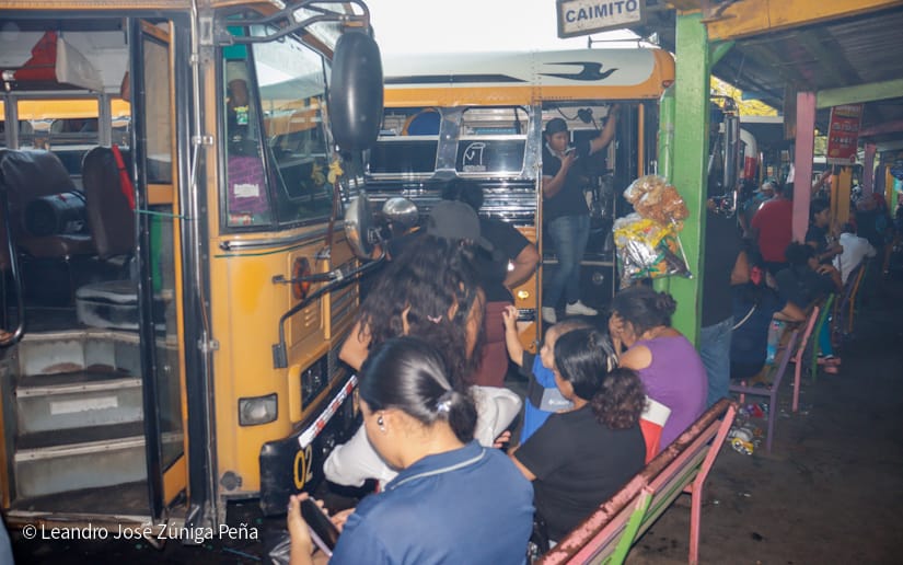 BUSES19