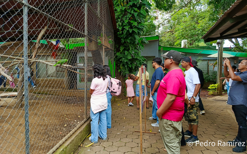 Zoologico--(1)