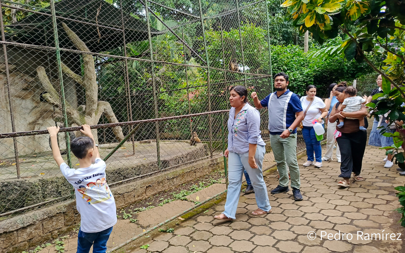 Zoologico--(4)