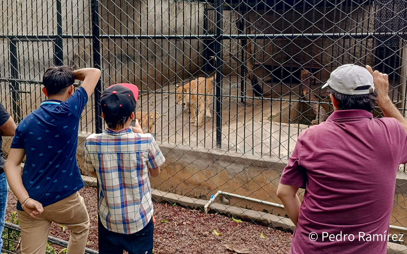 Zoologico--(5)