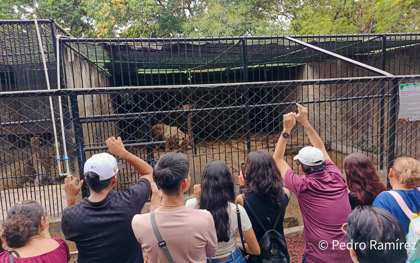 Zoologico--(7)