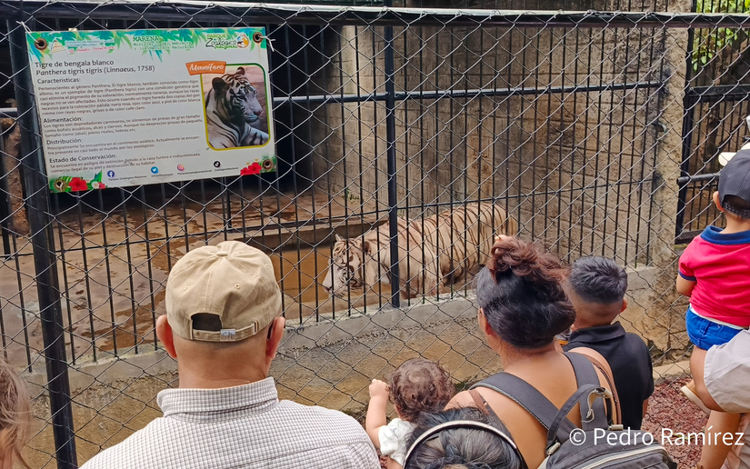 Zoologico--(8)
