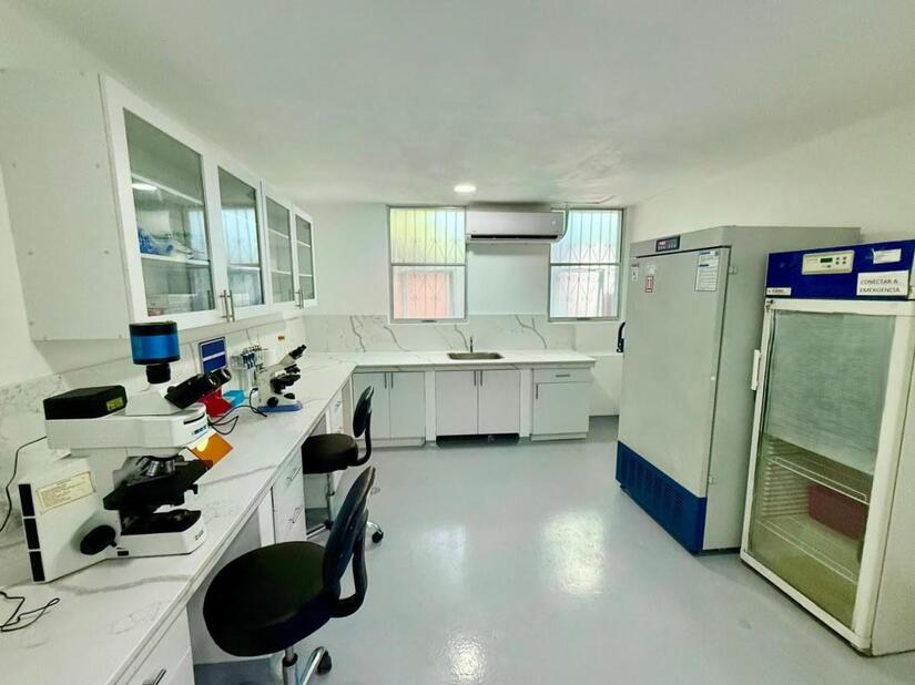 MINSA-3