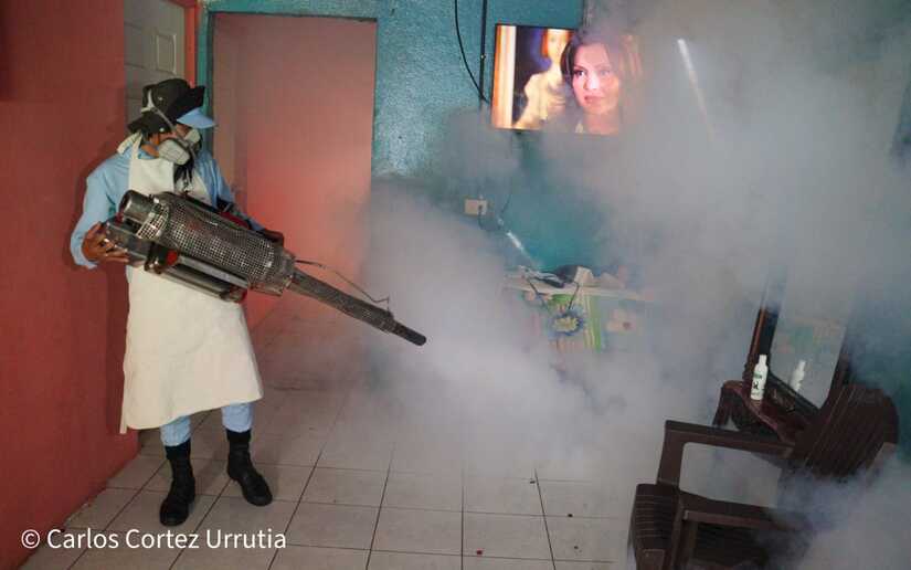 Fumigacion-15