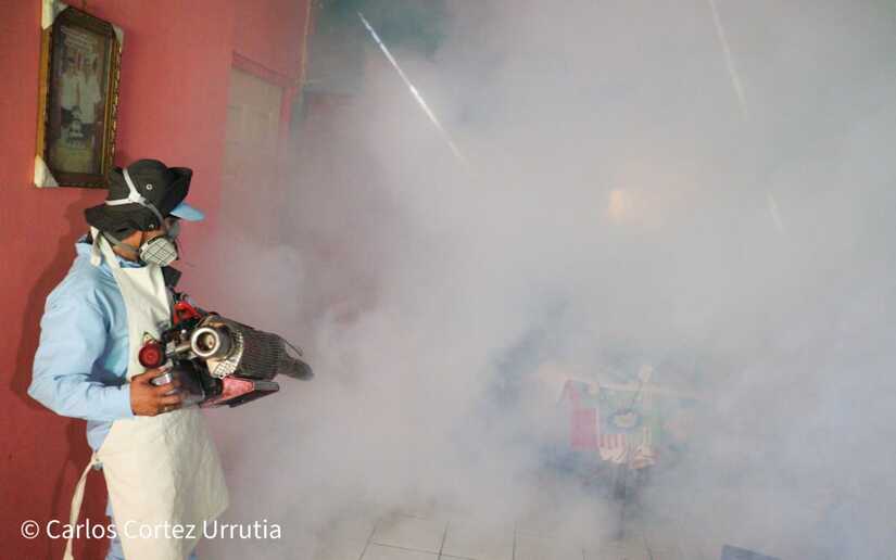 Fumigacion-16