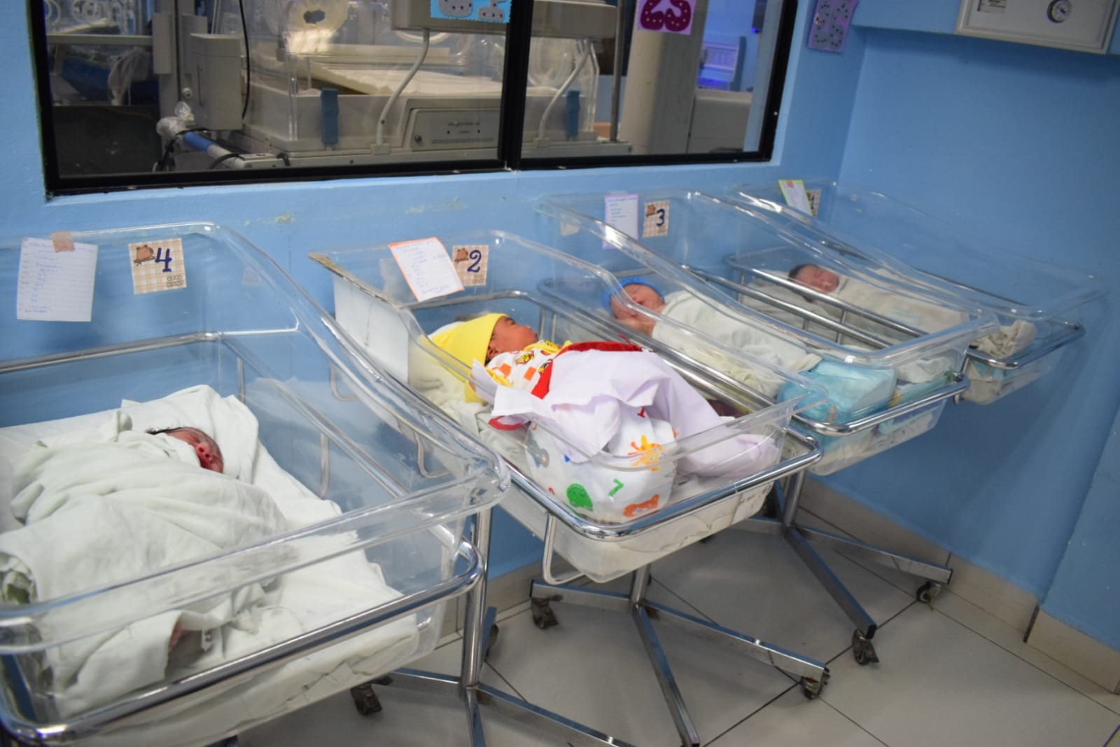 NEONATO9