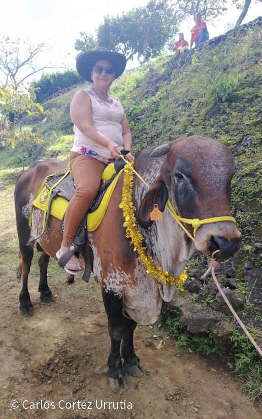 Catarina-37