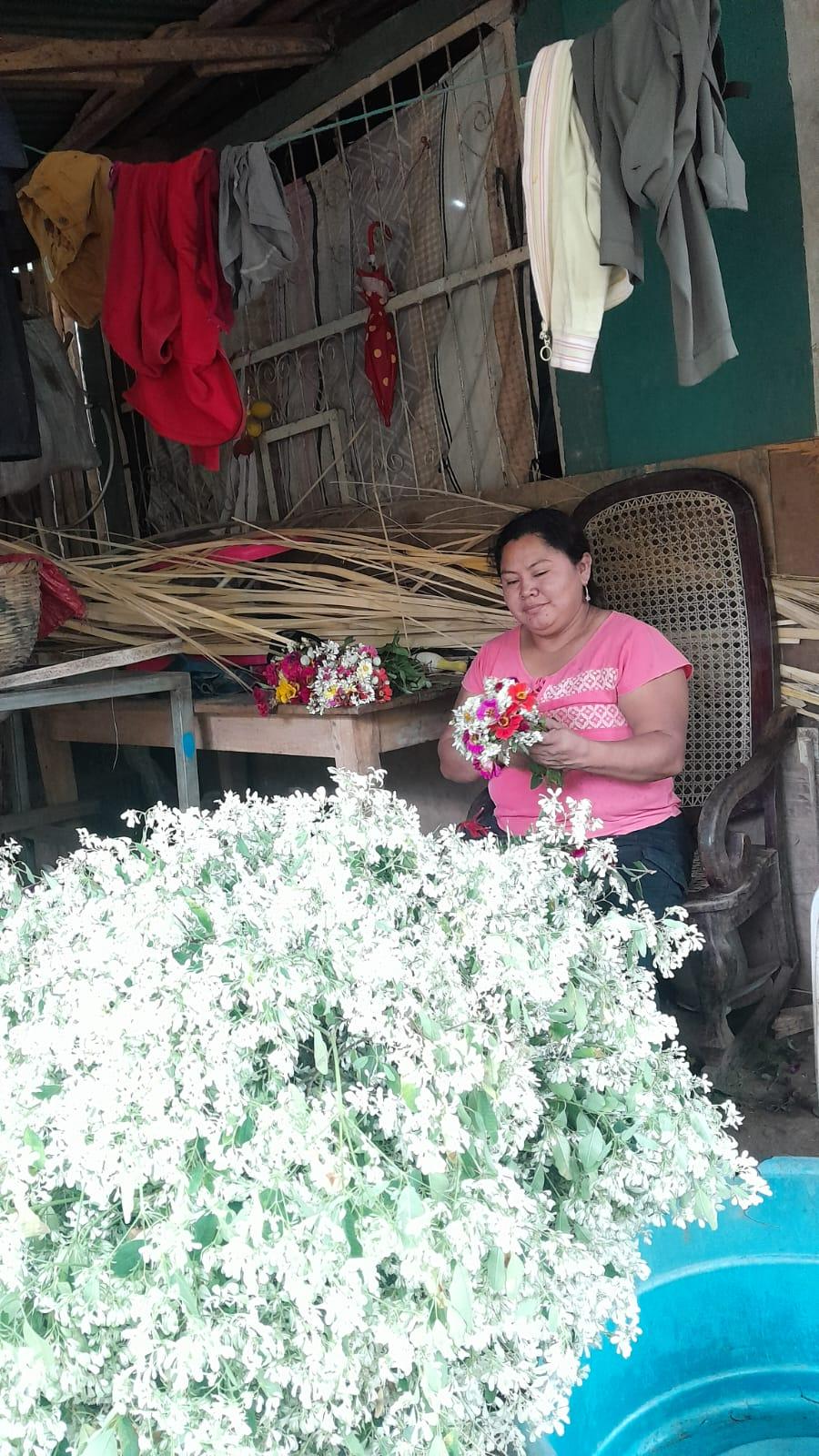 FLORES8