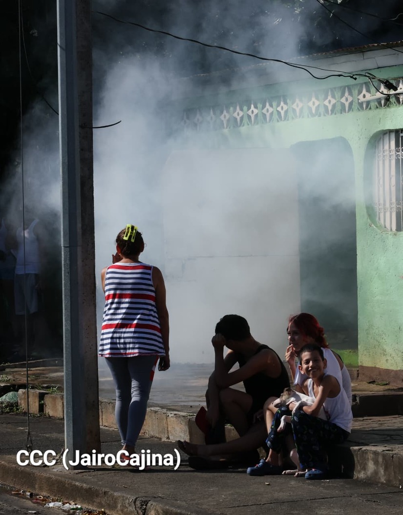 Fumigacion--(1)