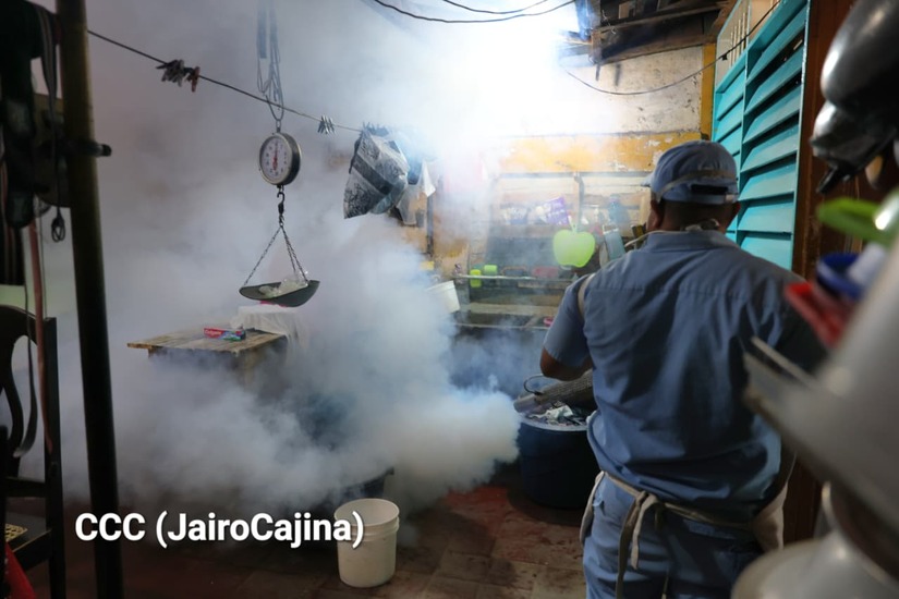Fumigacion--(10)