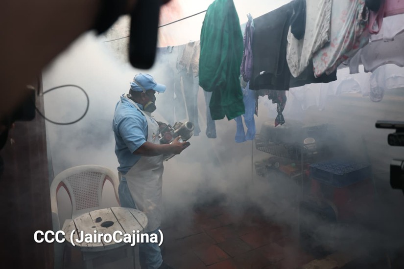 Fumigacion--(12)