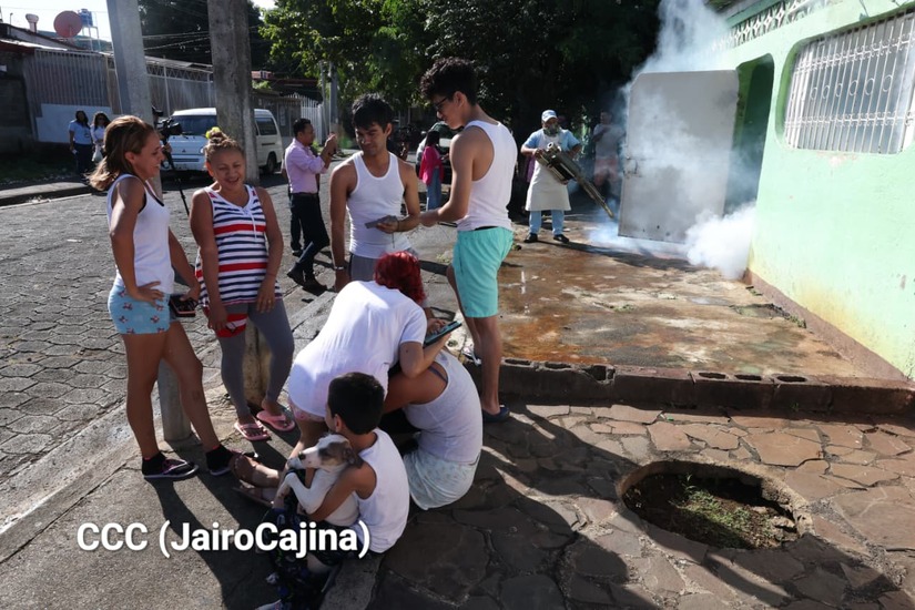 Fumigacion--(15)