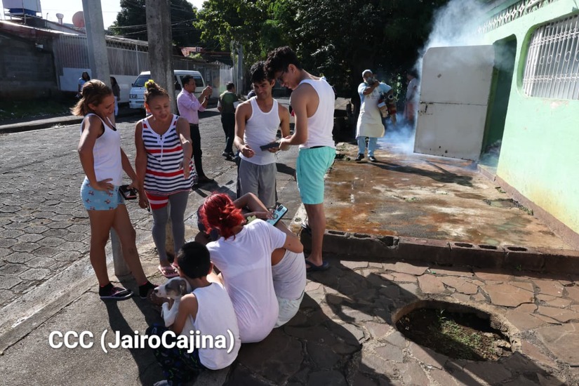 Fumigacion--(17)