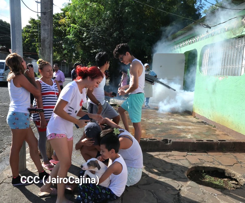 Fumigacion--(2)