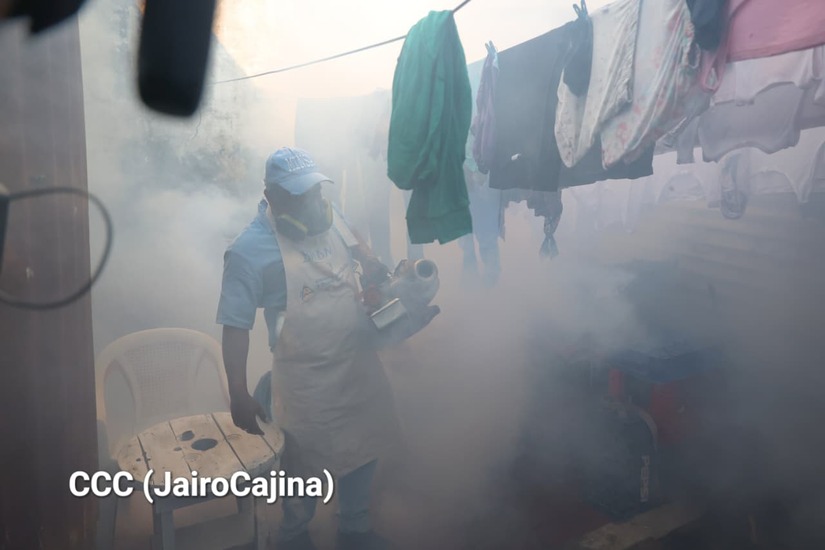 Fumigacion--(3)