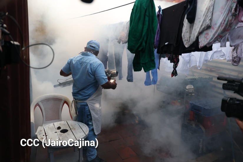Fumigacion--(5)