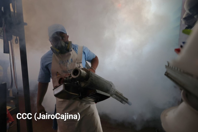 Fumigacion--(8)