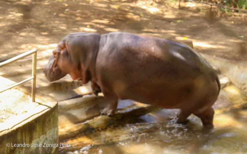 Zoologico--(13)