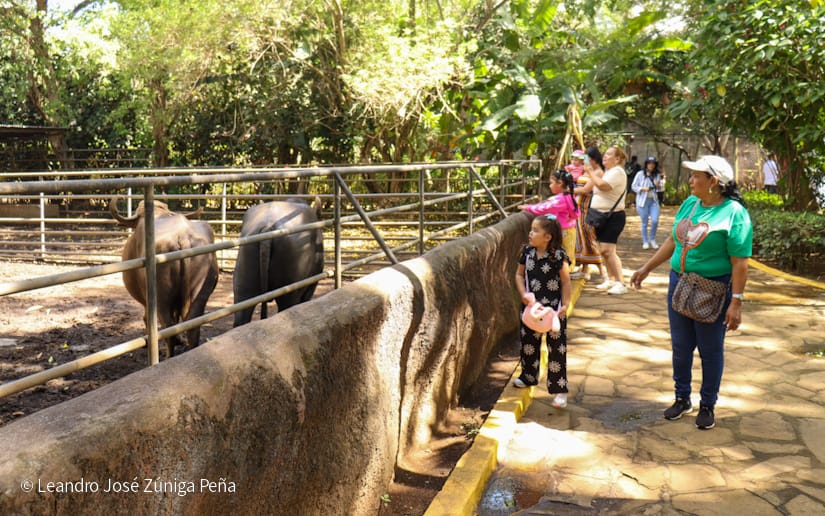 Zoologico--(14)