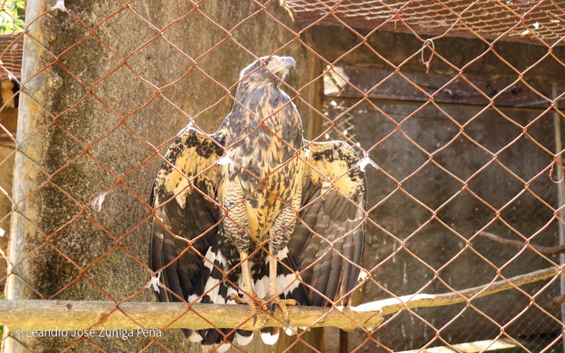 Zoologico--(29)