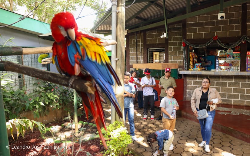 Zoologico--(33)