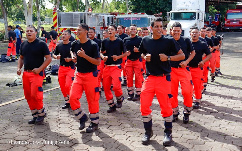BOMBEROS29