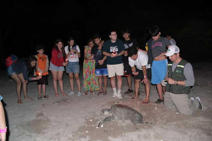 tortugas3