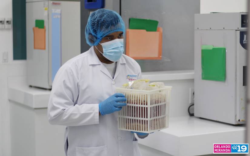 laboratorio-ipsa-3