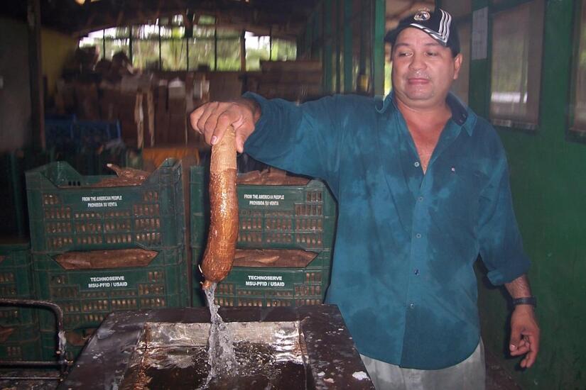 YUCA5